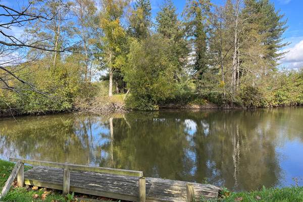 vue sur etangs poissonneux