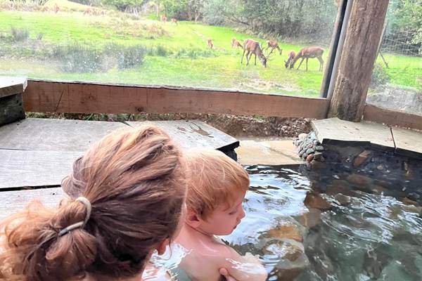bain nordique devant les cerfs