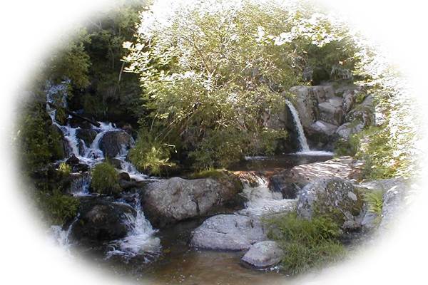Les visites des environs Cascades