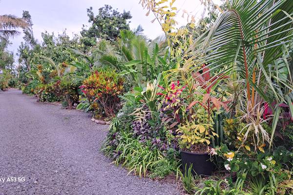 Entrée du jardin