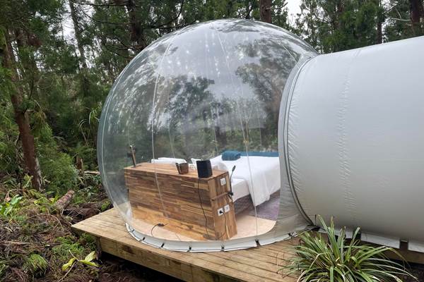 277943511_346117700815067_6731512619954728398_n