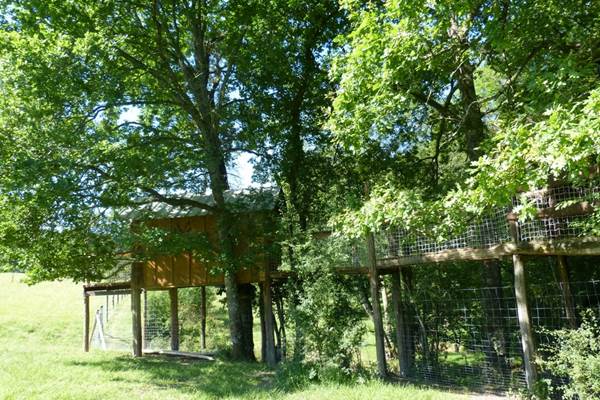 passerrelle reliant la cabane parentale à celle des enfants