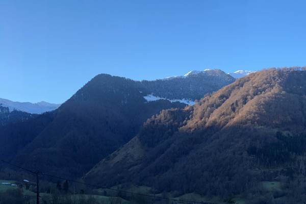 Panorama
