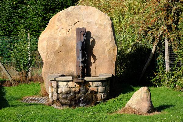 FontaineBoisdesDames (Copy)