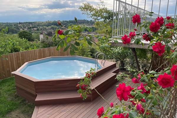 Tournesol&Anemone-location-piscine privee-vue-sarlat
