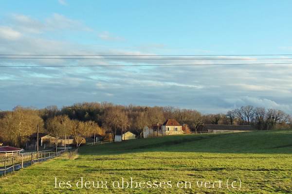 Haras Laurence Of Arabians