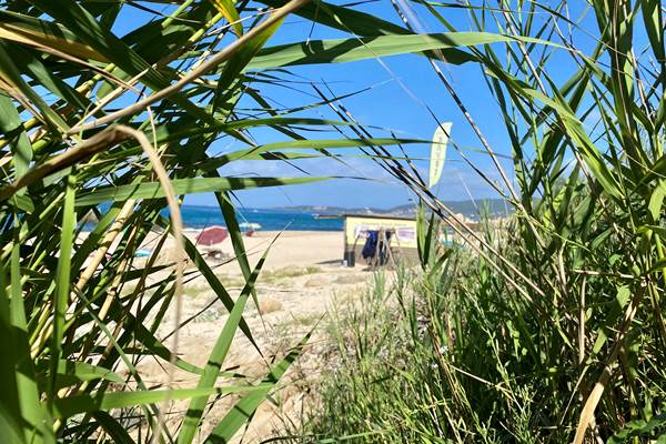 Abbartello kayak Corse, découverte de l'environnement-photo-news