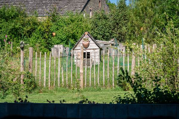 La maison des canards, dans le potager