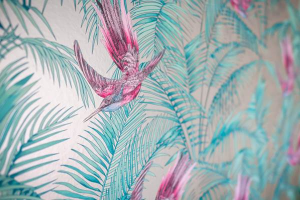 suite TOBAGO; La Maison de Clémentine hébergements de luxes à Fort De France Martinique