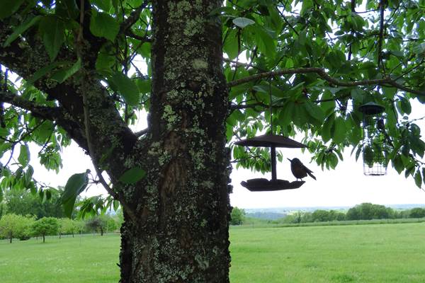 BRITAVIT détente au jardin