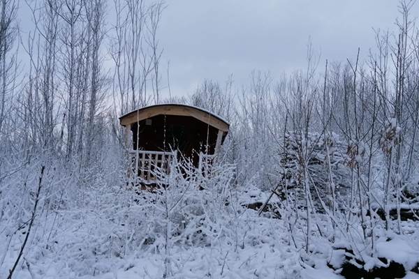 les bois de saint Auvent  roulotte seule au monde