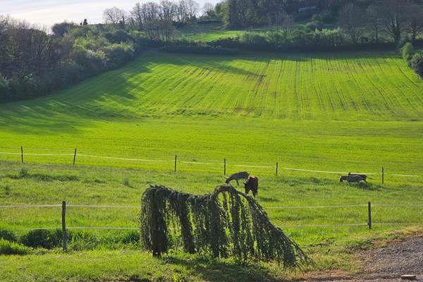 Village de Gîtes = calme, services, piscine