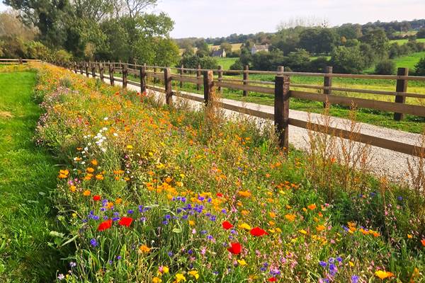 Domaine de Houtteville - Le jardin 8