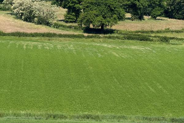 Bulles insolites sur terrain de 3000 m² sans vis-à-vis en pleine campagne auvergnate.