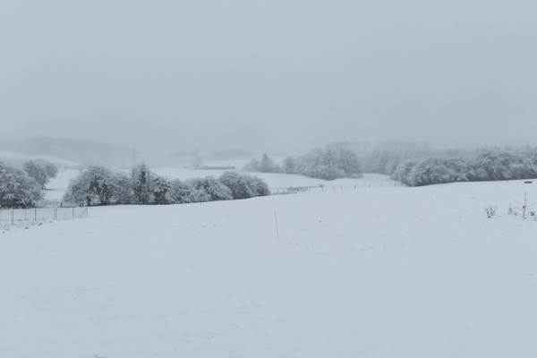 L'Oasis sous la neige
