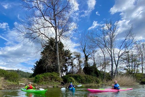 Abbartello Kayak sanglier sur Taravo-photo-news