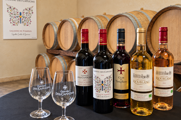 Dégustation de vins au chai