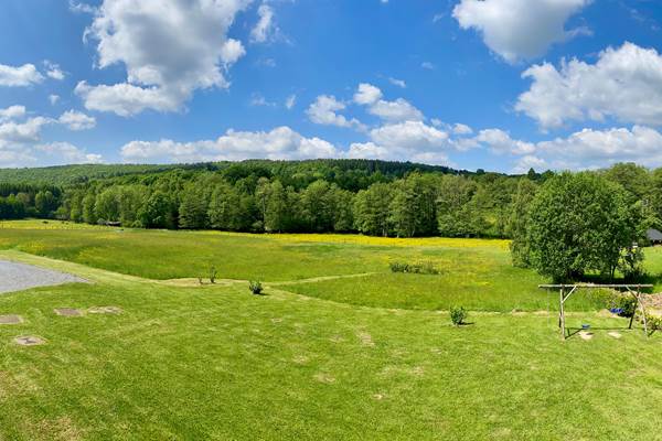 Jardin Aux Fleurs Des Champs
