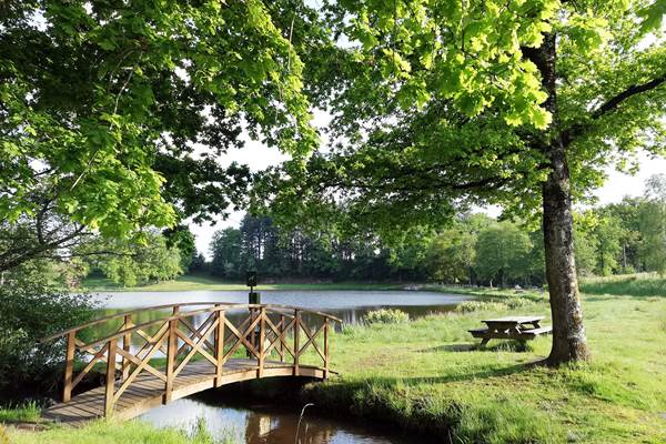 autour du camping kabaneko au mont gargan