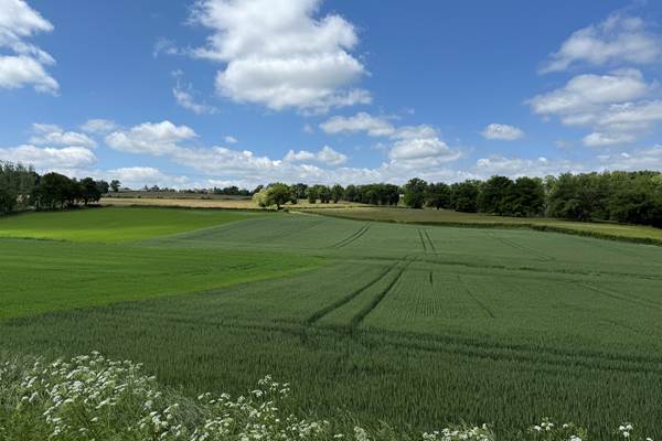 Ressourcez-vous dans un cadre verdoyant exceptionnel, où calme et sérénité règnent en maîtres.
