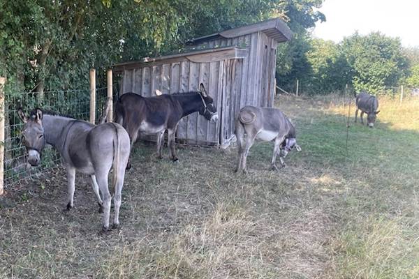 Sans titre-photo-news