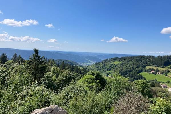 Roz - Autour de la maison