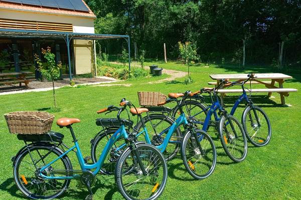 Nos vélos électriques procurent joie et sensation de liberté !