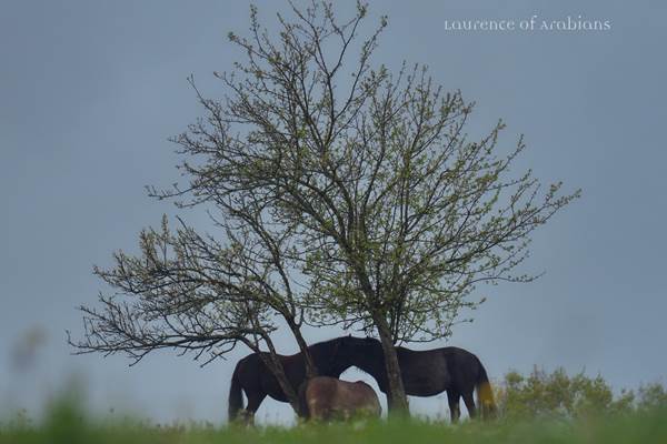 La Grande Maison Côté Cour la nuit