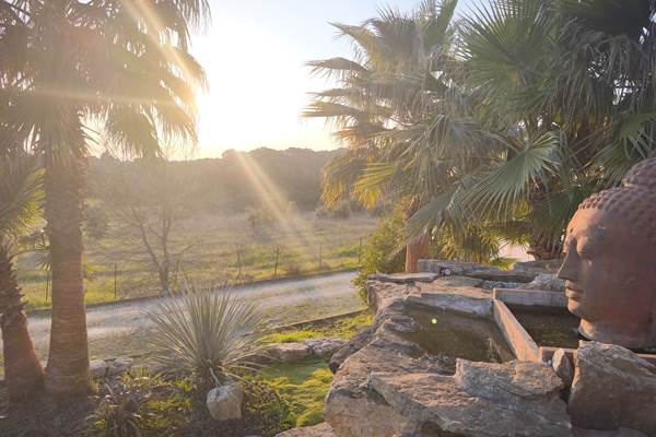 Coucher de soleil - Domaine de Jolio