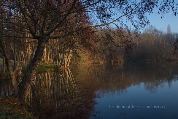 Le matin vue de la cour