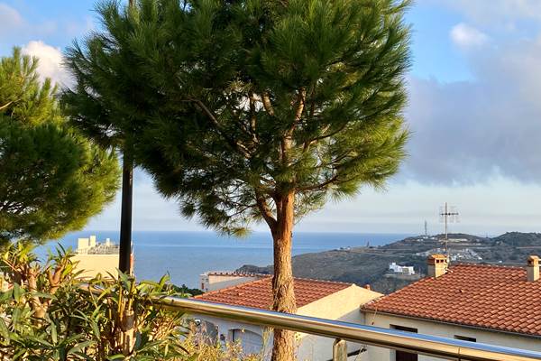 Vue depuis la terrasse