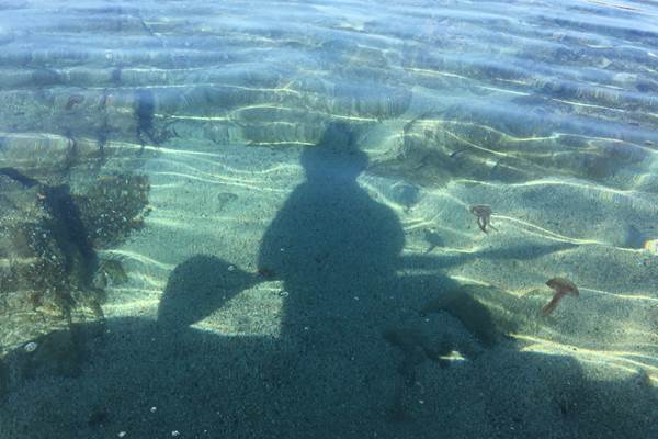 sophie-begin-monitrice-canoe-kayak-paddle-corse-bassin-d-arcachon-photo-news