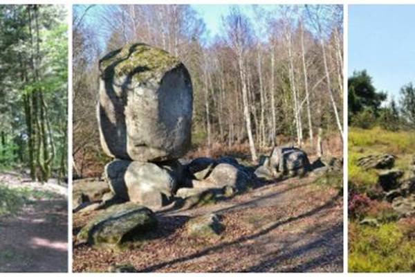 Randonne´e tryptique Blond