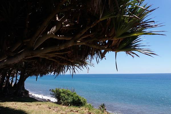 Bord de mer2