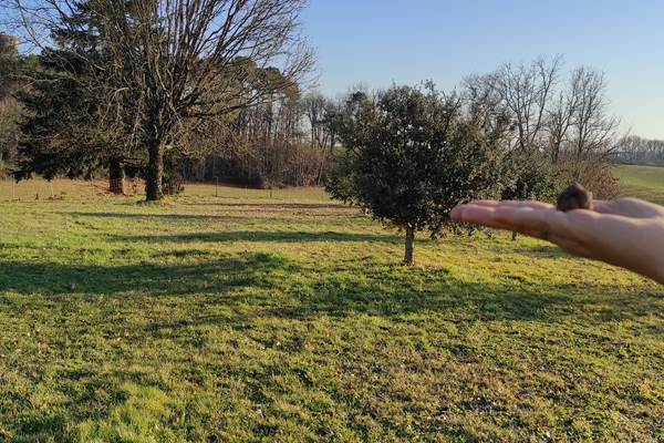 BRITAVIT La Truffière