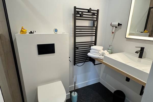salle de bain chambre 1