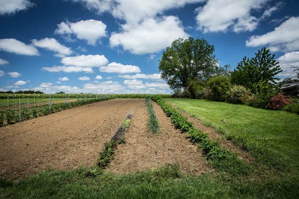 gite_rimajou_le_potager_5-1536x1024