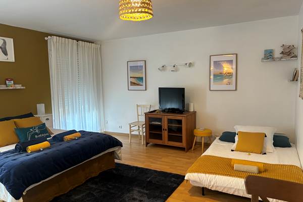 Pièce principale avec canapé lit déplié