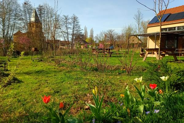 Quel régal ce panache de couleurs des tulipes au printemps