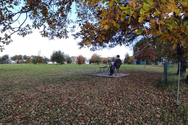 espace lecture sous le grand chêne derrière la truffière