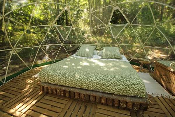 Les bois de Saint-Auvent, la bulle, grand lit