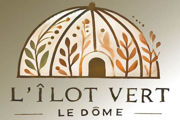 Logo dome couleur 2.pdf.jpg