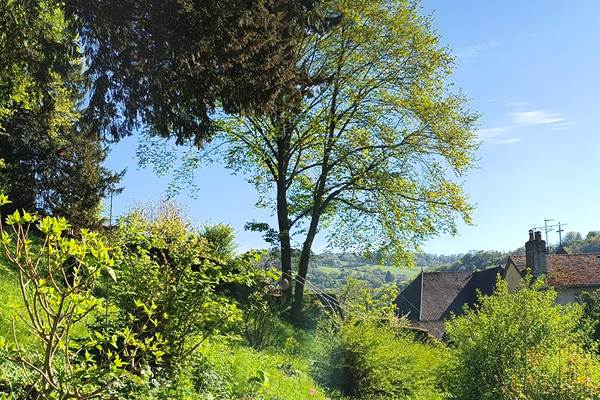 Horizon depuis le jardin