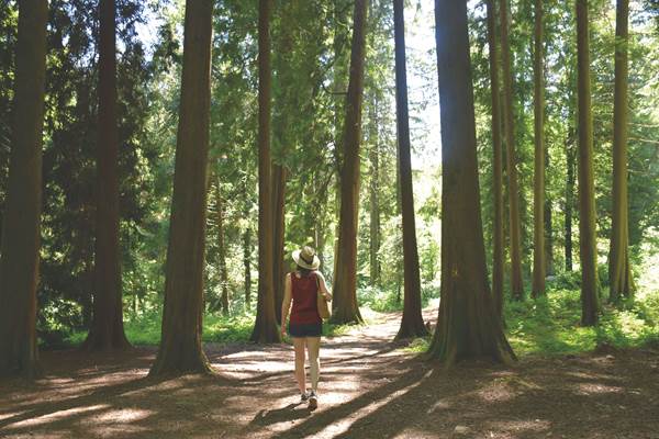 Arboretumlajonchere©Terresde Limousin