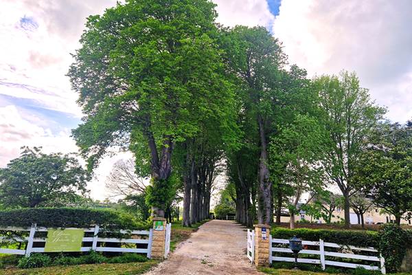 Domaine de Houtteville - Entrée
