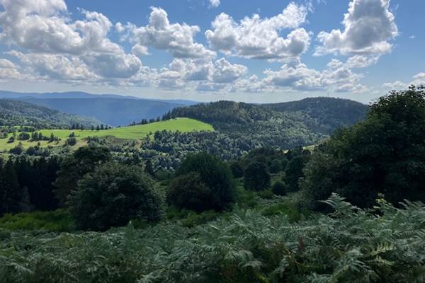 Roz - Autour de la maison