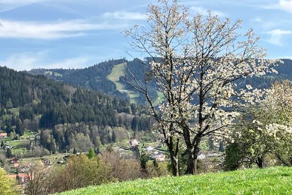 Roz - Autour de la maison