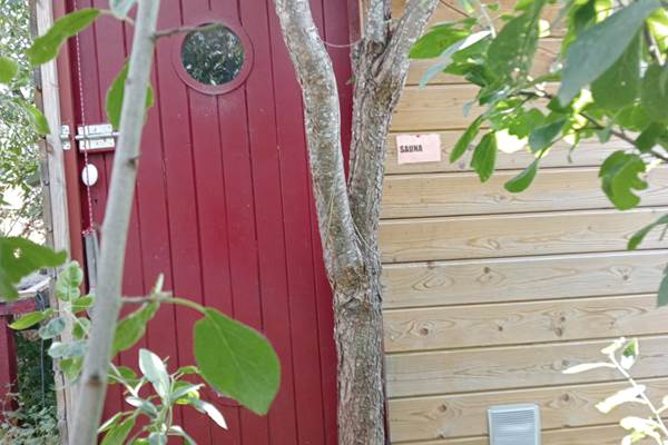 sauna1