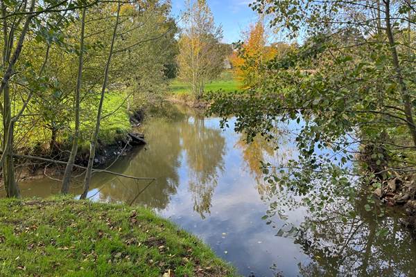 quietude au bord de l'eau