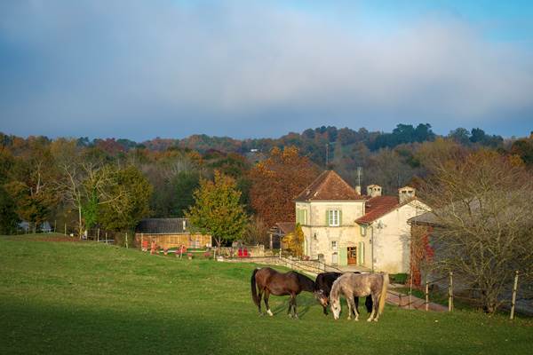 Le Domaine entouré des chevaux (c) Michel Dartenset